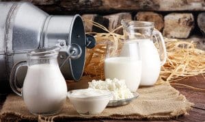 die Milchsorte auf die Herstellung Ihres Lieblingskäses