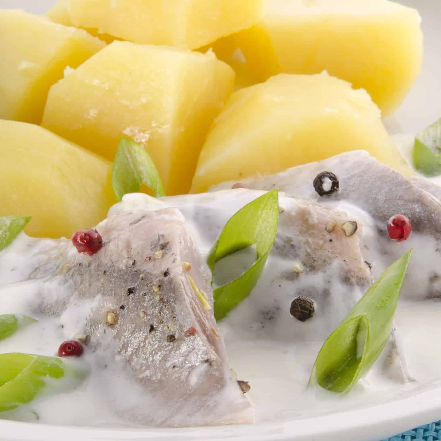 Matjes Hausfrauenart mit Ziegenkäse - Mittagstisch zum Mitnehmen in Bockenheim - bei Käseladen Leipziger (K34)